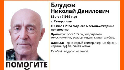 Пенсионер с ведром малины пропал в Ставрополе