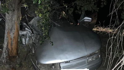 В Изобильненском округе водитель ВАЗа на высокой скорости врезался в дерево