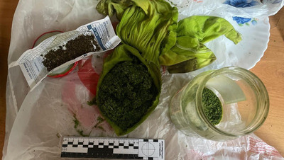 Более 150 г марихуаны изъяли у жителя Светлограда