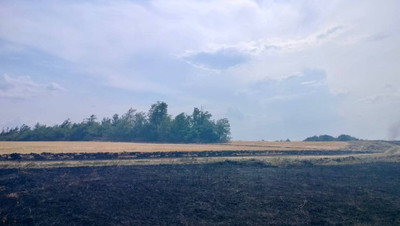Почти тысяча гектаров зерновых сгорела на Ставрополье за время уборки