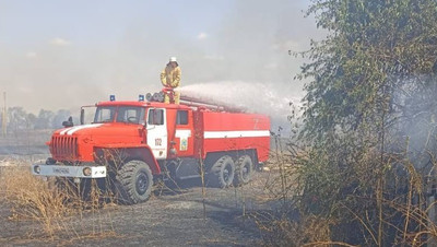 Пожарные спасли животных от огня в Курском округе