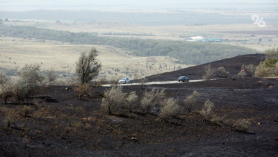 Возгорание сухостоя в Андроповском округе перекинулось на лесополосу