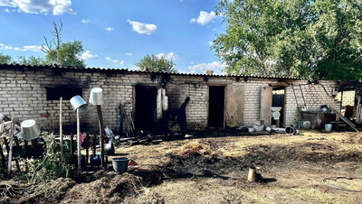 Четыре телёнка погибли в пожаре в селе Птичьем Ставропольского края