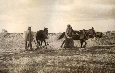 Коллективизация Н.Г. Завгородний Неиссякаемая живучесть (записки краеведа) г. Михайловск 2004