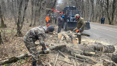 Опасный сухостой спилили на трассе под Ставрополем