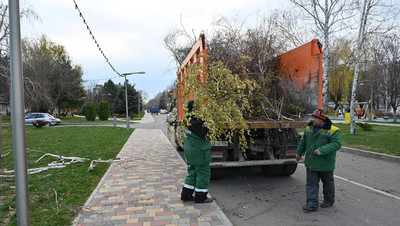 Аварийные деревья спилили в сквере Изобильненского округа по поручению губернатора