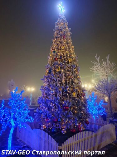 Ёлочка во дворе Владимирского собора.