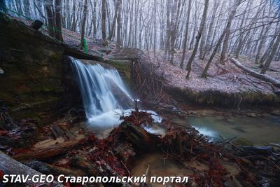 Морозно в Таманском лесу.