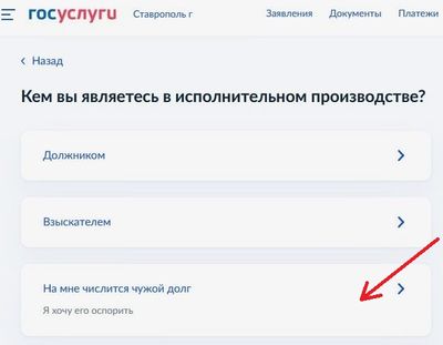 «Двойники» должников могут сообщить в службу судебных приставов об ошибочном долге с помощью портала Госуслуг