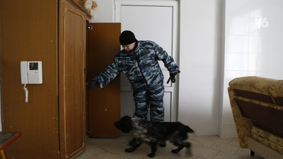 В Будённовске проверяют школу искусств и администрацию после угрозы минирования