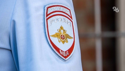 Уголовное дело возбудили в Шпаковском округе после нападения собак на ребёнка