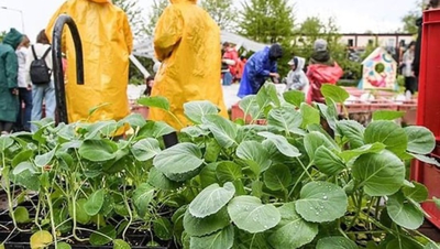 Свыше 60 агроклассов планируют открыть в школах Ставрополья в 2025 году