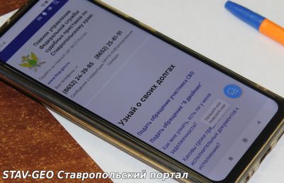 Как узнать о своих долгах