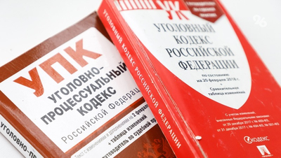 Жительница Труновского округа ударила знакомого тяпкой и попала под следствие