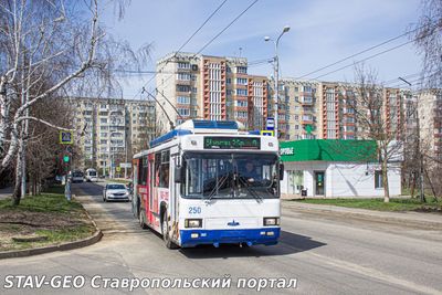 О работе общественного транспорта в праздники