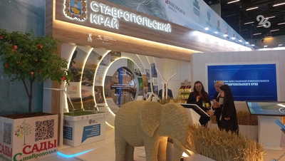 Стенд Ставрополья на Кавказском инвестфоруме стал точкой притяжения молодёжи