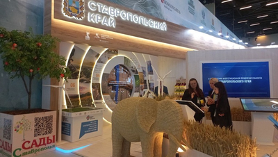Деловая программа Кавказского инвестфорума стартовала на Ставрополье