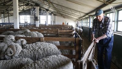 Инвесторам сферы АПК на Ставрополье компенсировали 1,8 млрд рублей с 2017 года