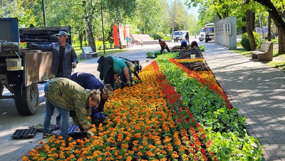 Около 400 подвесных кашпо с цветами украсят Ставрополь летом