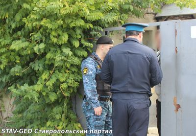 Около 32,5 млн руб. алиментов взыскали судебные приставы за время акции