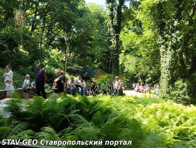 Праздник Святой Троицы на Свято - Троицком источнике в Томузловском лесу