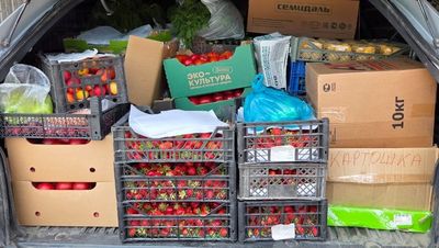 Более 400 кг овощей и фруктов передали ставропольские казаки в зону СВО