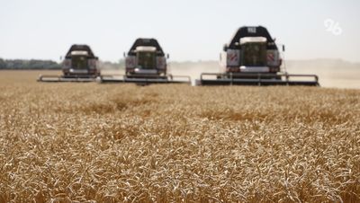 Аграрии Ставрополья собрали первый миллион тонн зерна