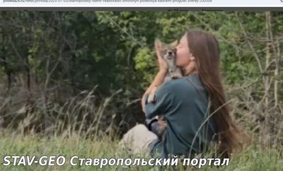 Ставропольский центр реабилитации животных поделился кадрами прогулки зверей