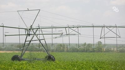 Площадь орошения сельхозземель на Ставрополье превысила 105 тыс. га