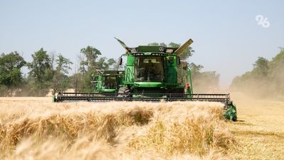 850 тыс. тонн зерна планируют собрать в Ипатовском округе