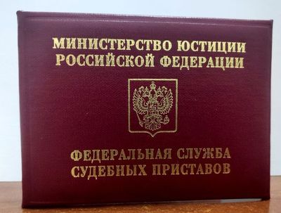 Выпустят ли за границу с долгами рассказали судебные приставы