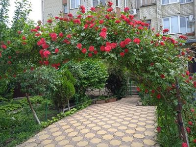 В Ставрополе стартует прием заявок на городской фестиваль цветников.