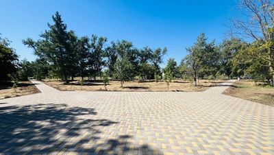 Новые пешеходные дорожки обустроили в парке Ипатовского округа