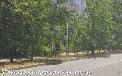 В Ставрополе от буйной растительности избавили около 2 миллионов квадратных метров городских территорий