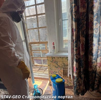 Житель Минеральных Вод только после принудительных мер  судебных приставов убрал голубятню