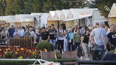 Сырную гонку проведут на тематическом фестивале в Кисловодске
