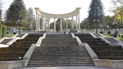 Миллион деревьев планируют высадить в Кисловодске для сохранения «зелёного пояса»