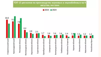 https://pobeda26.ru/news/agronomy/2025-08-13/urozhay-nuta-prevysil-60-tys-tonn-na-stavropolie-v-2025-godu-334481
