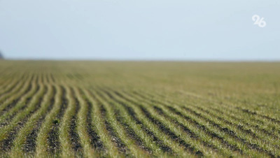 Ставропольское сельхозпредприятие заплатит 195 тыс. рублей за присвоение земли