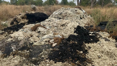 Причиной зловония в Кировском округе оказалась горящая на свалке шерсть животных