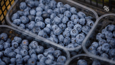 Первые осенние ярмарки состоятся в Ставрополе 6–7 сентября