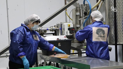 Ставропольский край поднялся в рейтинге регионов по ситуации на рынке труда