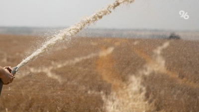 Пожарные локализовали огонь у подножия горы Горячей в Пятигорске на 300 кв. м