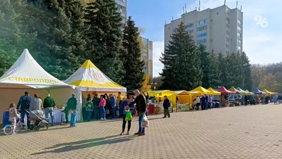 Ярмарка в честь Дня города пройдёт в Ставрополе 14 сентября