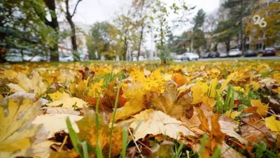 Прогулки и спорт помогают избежать сезонной депрессии — психолог Дугенцова