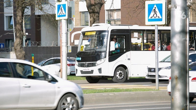 Губернатор поручил разобраться с работой автобусов и троллейбусов в Ставрополе
