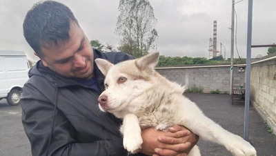 Житель Осетии трогательно встретился со своим псом, увезённым в питомник