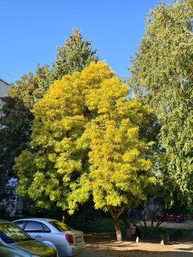 Осенний Михайловск прекрасен