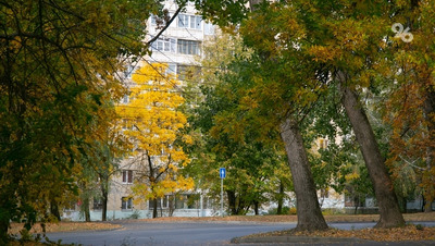 До +28 градусов ожидается на Ставрополье 25 сентября