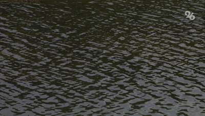 Завод кормов для аквакультуры из Астрахани развивает осетровую ферму